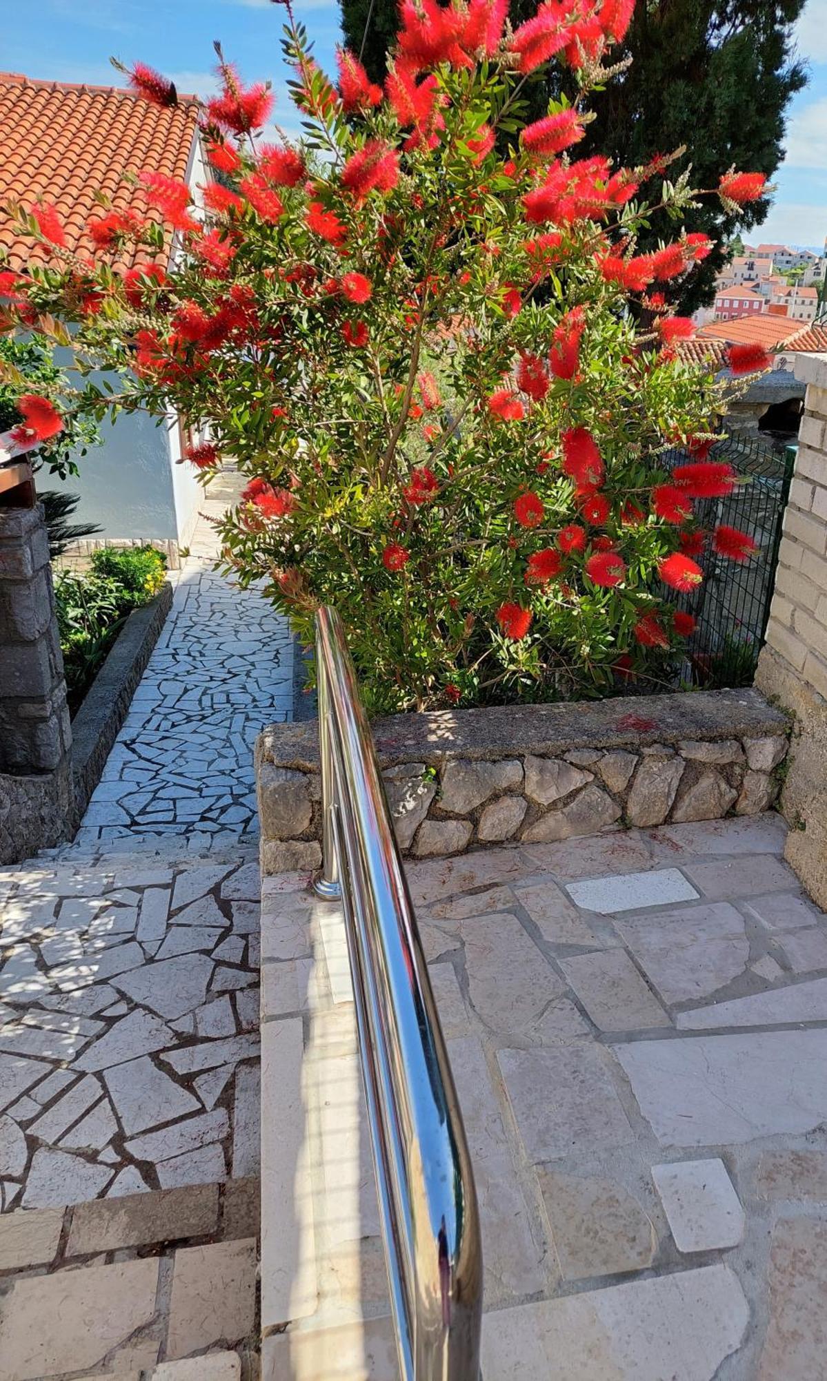 Hotel Star Mali Lošinj Esterno foto
